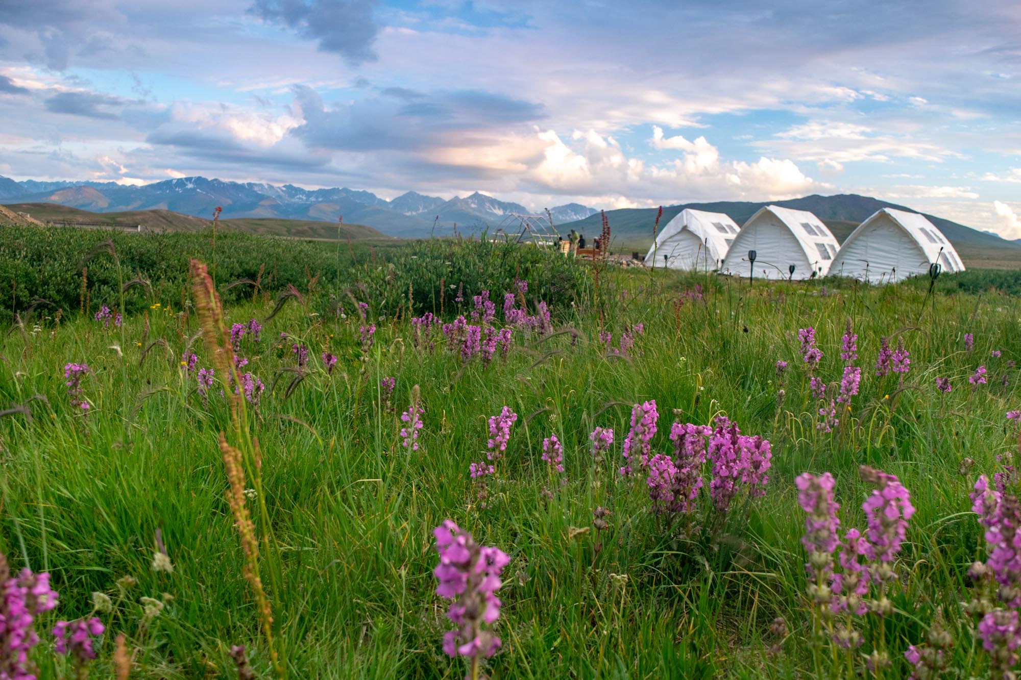 Deosai National Park