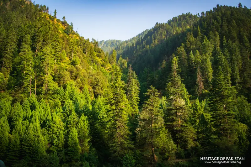 Keran