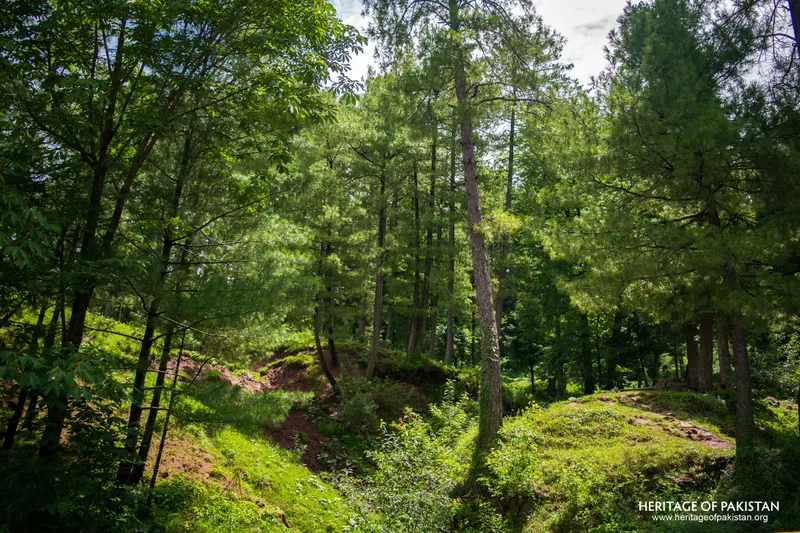 Murree