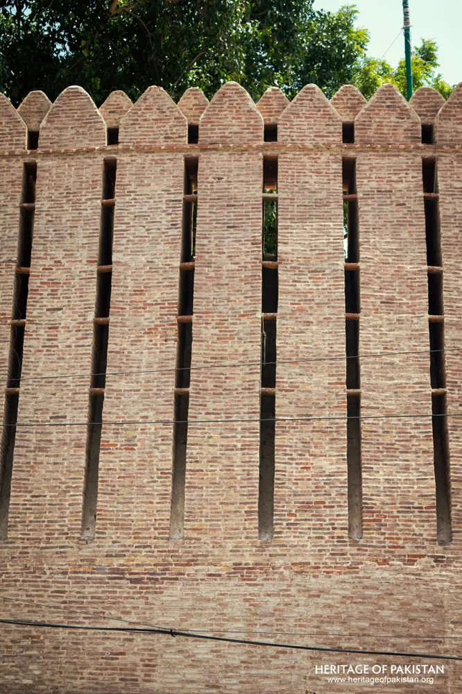 Close-up of Pakka Qila's rampart wall with tree foliage overhanging one edge