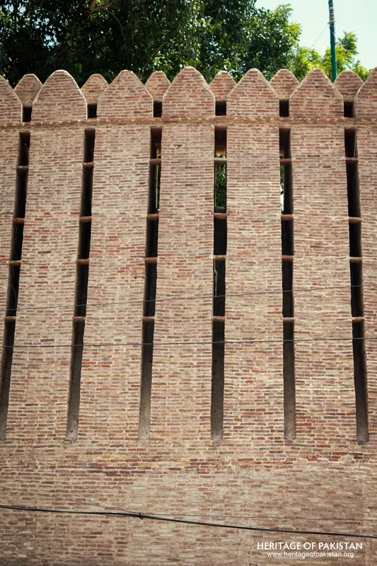 Close-up of Pakka Qila's rampart wall with tree foliage overhanging one edge
