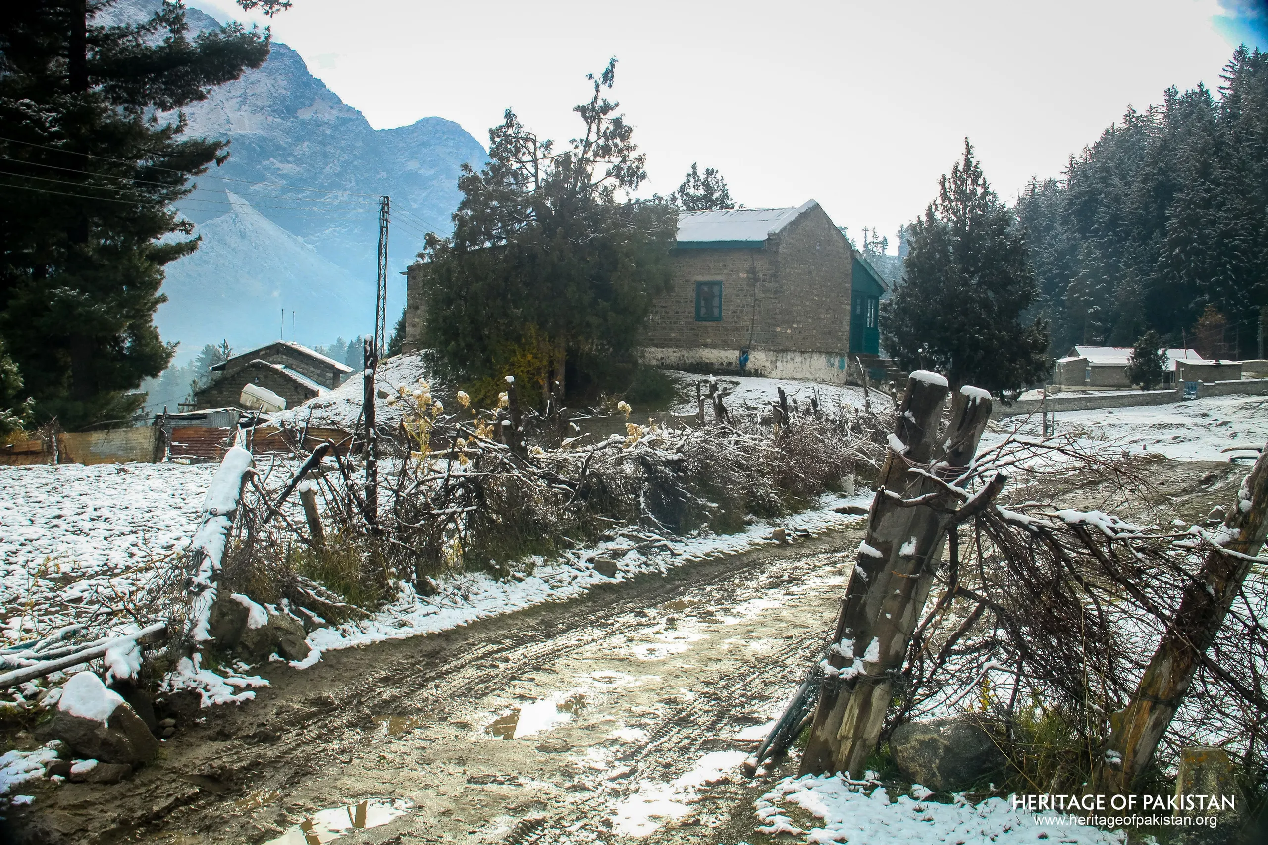 Naltar Valley