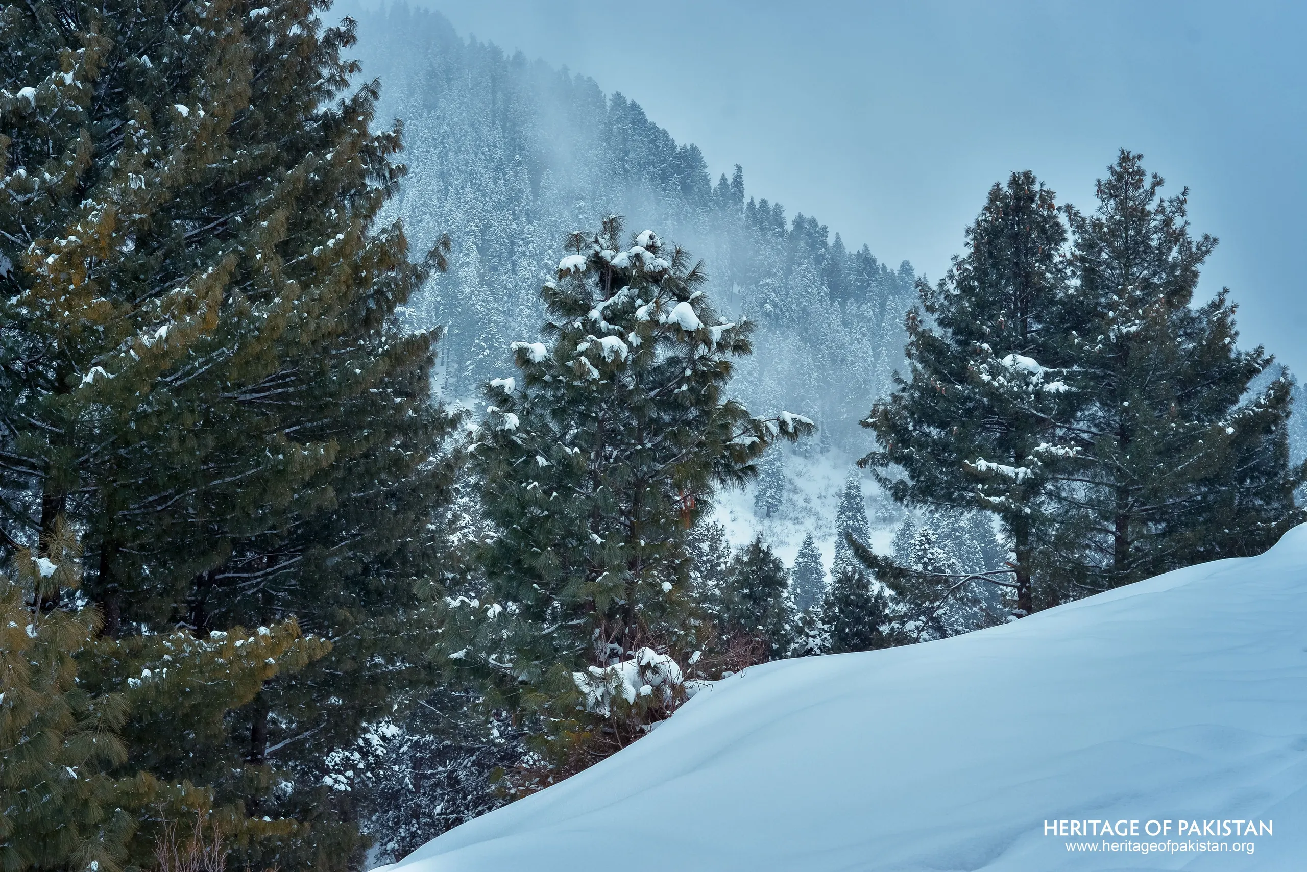 Malam Jabba