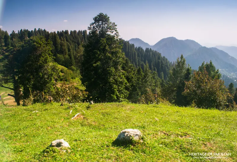 Ayubia National Park